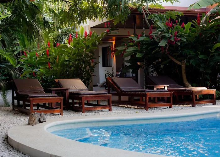 Chillout - Adults Only Lodge Sámara